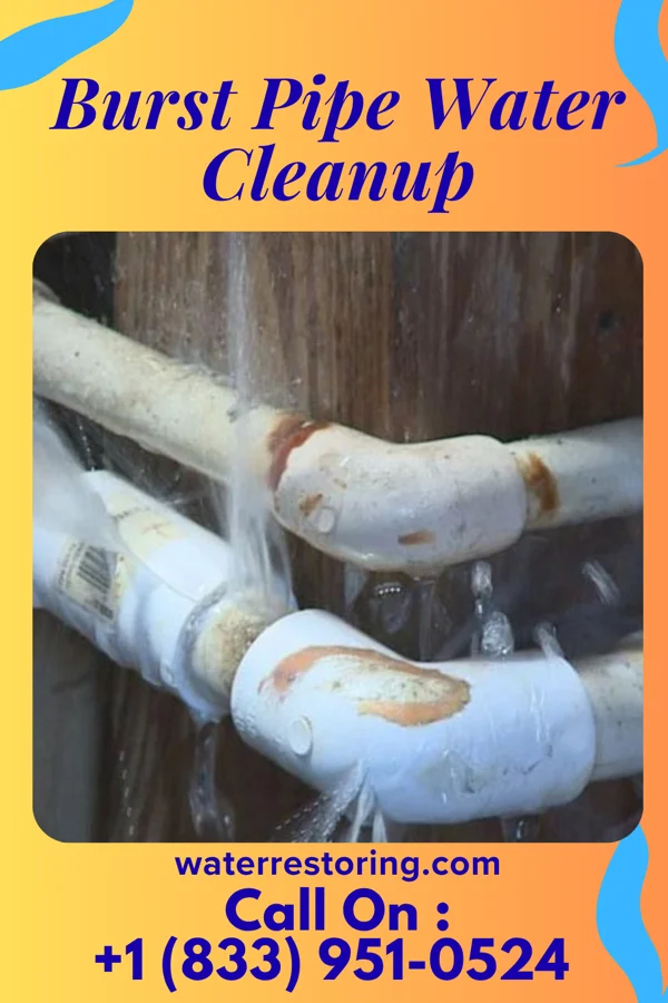 Burst Pipe Water Cleanup in Steiner Ranch, TX