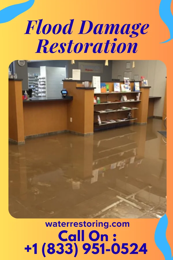 Flood Damage Restoration in Steiner Ranch, TX