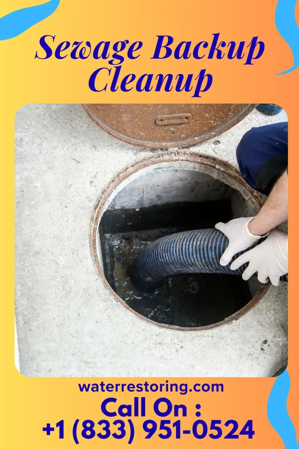Sewage Backup Cleanup in Steiner Ranch, TX