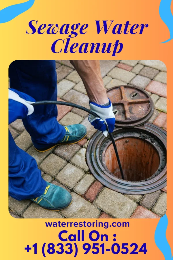 Sewage Water Cleanup in Steiner Ranch, TX